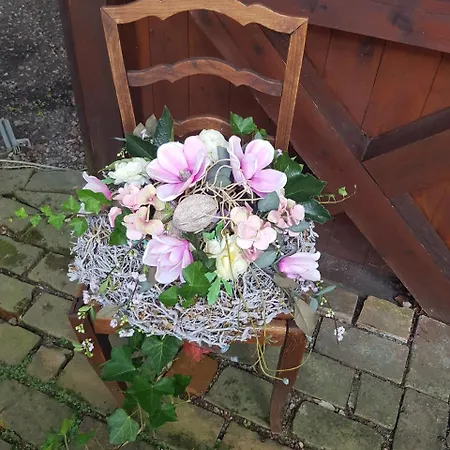 Brauner Hirsch فندق