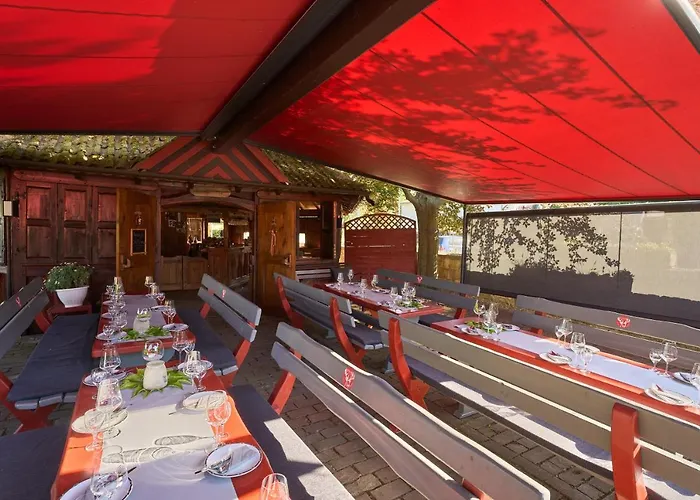 Brauner Hirsch Hotel